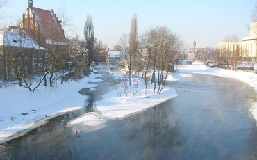 Ochrona dzieci w szkołach. Ruszyła zbiórka podpisów!