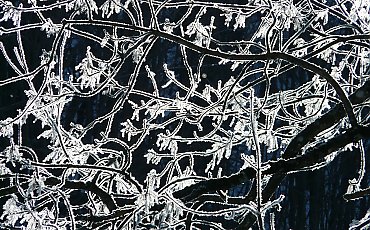 Mróz i rozpogodzenia nad Bydgoszczą [POGODA]