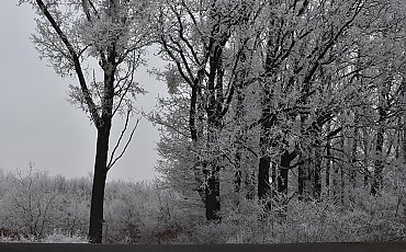 Mroźne, pochmurne dni bez opadów w Bydgoszczy [POGODA]