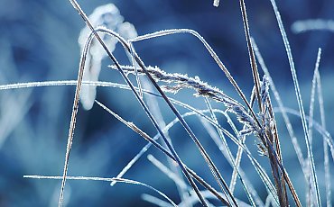 Mróz i monotonne chmury nad Bydgoszczą [POGODA]