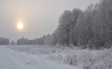  W Bydgoszczy nadal będzie ślisko, a dojdą jeszcze mgły! [POGODA]