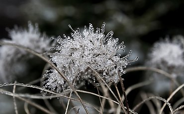 Silny mróz i duże zachmurzenie w Bydgoszczy [POGODA]
