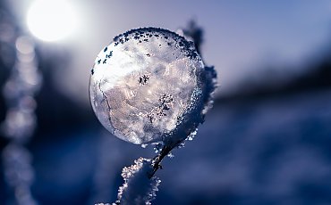 Mocny mróz i sucho, wiatr ze wschodu [POGODA]