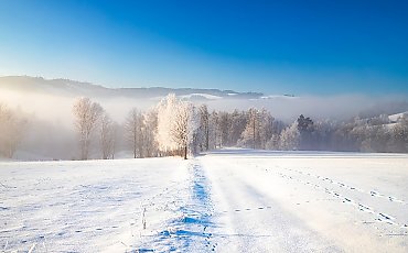 Mroźne noce, słoneczne dni nad Bydgoszczą [POGODA]