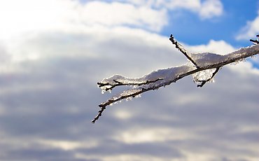 Chłodno i pochmurnie w Bydgoszczy. Może też spaść trochę śniegu [POGODA]