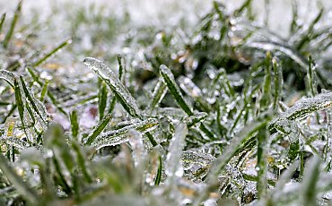 Pochmurno, mroźno i ślisko w Bydgoszczy. [POGODA]