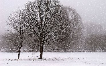 Pochmurno i mroźno, słabe opady śniegu [POGODA]