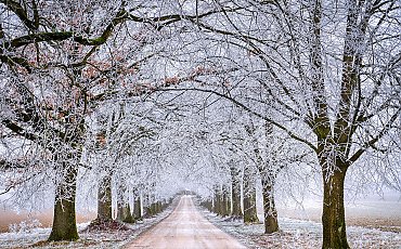 Mroźne noce, chłodne dni i możliwy przelotny śnieg [POGODA]