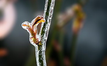 Całkowite zachmurzenie i słabe opady [POGODA]