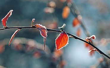 Mroźne noce, suche dni i zmienne zachmurzenie [POGODA]