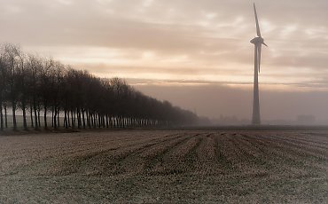 Mroźne noce, łagodne popołudnia — stabilna aura dla Bydgoszczy [POGODA]