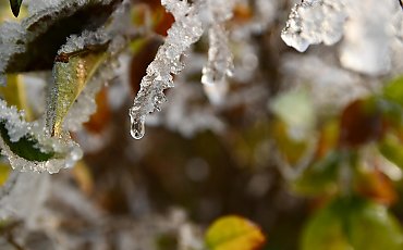 Odwilży ciąg dalszy, całkowite zachmurzenie i przelotne opady [POGODA]