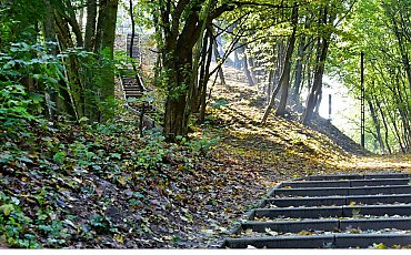 Park Grabina w Koronowie wkrótce  poprowadzi zwiedzających nowymi ścieżkami! Gmina otrzymała dofinansowanie na rewitalizację