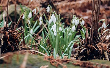 Słonecznie i łagodnie, wiatr z południa [POGODA]