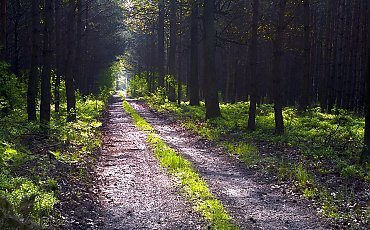 Słoneczne i suche dwie doby w Bydgoszczy [POGODA]