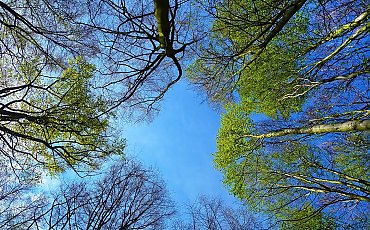 Słonecznie i łagodnie przez 48 godzin w Bydgoszczy [POGODA]