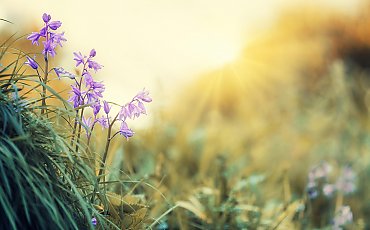 Słonecznie i umiarkowanie wietrznie przez 48 godzin [POGODA]