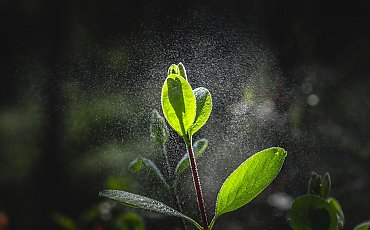 Przelotna mżawka rano, potem przejaśnienia [POGODA]