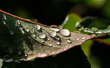 Rześko i wiosennie w Bydgoszczy [POGODA]