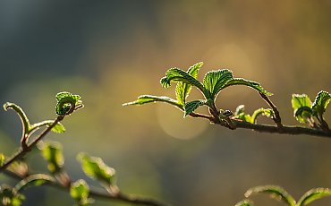 Słonecznie i sucho przez 48 godzin [POGODA]