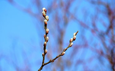 Umiarkowane zachmurzenie i łagodny wiatr. Co przyniesie najbliższe 48 godzin? [POGODA]