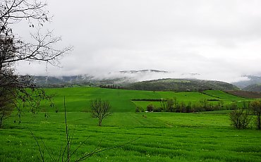 Pochmurno i łagodnie przez dwa dni w Bydgoszczy [POGODA]