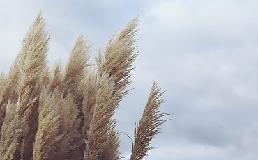 Pełne zachmurzenie i porywisty wiatr przez 48 godzin [POGODA]