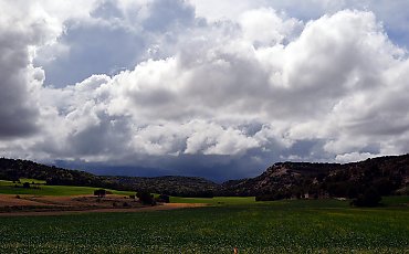 Umiarkowane zachmurzenie, bez opadów. Wiatr z północnego zachodu [POGODA]