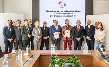 Aleje drzew wrócą do kujawsko-pomorskich dróg. Najpierw Chełmno, Unisław i Barcin