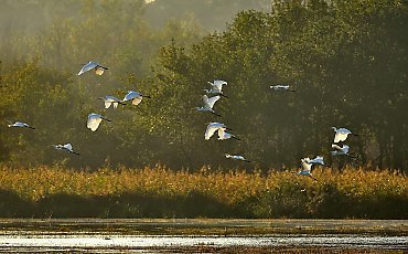 Bez opadów, chłodne noce i łagodne dni [POGODA]