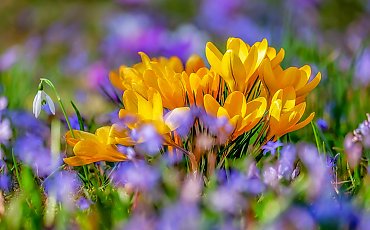 Zmienna aura i więcej chmur [POGODA]