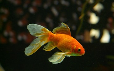 Odkryj swoją historię poprzez sztukę – warsztaty dla seniorów w Młynach Rothera