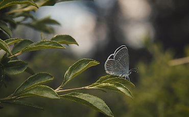 Przejaśnienia i porywisty wiatr w Bydgoszczy [POGODA]