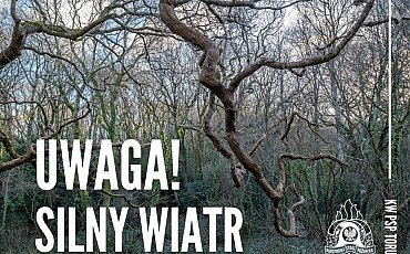 Pracowite Święta dla kujawsko-pomorskich strażaków. Przez silny wiatr musieli interweniować ponad 200 razy