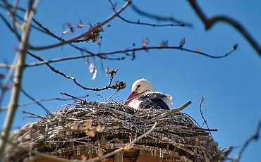 Spokojna, sucha pogoda z chłodnymi nocami [POGODA]
