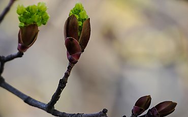 Słonecznie i wietrznie w Bydgoszczy [POGODA]
