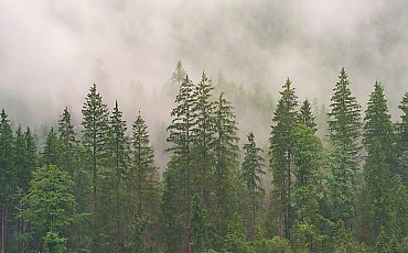 Pochmurno i dość wietrznie; możliwe przelotne opady [POGODA]