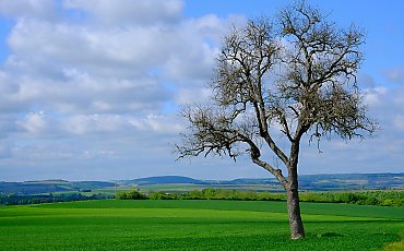 Przeważnie pochmurno, bez większego deszczu [POGODA]