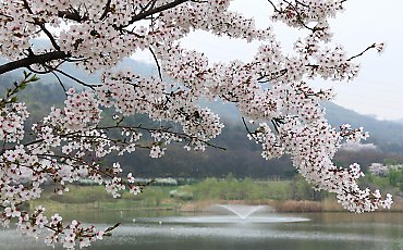 Słonecznie i sucho przez 48 godzin [POGODA]