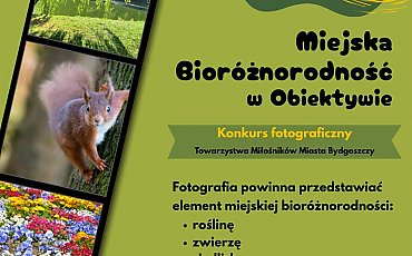 Miejska przyroda w obiektywie. Rusza konkurs fotograficzny w Bydgoszczy