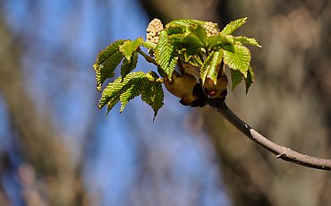 Chłodniejsze noce, słoneczne dni [POGODA]