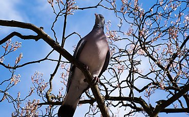 Spokojne, zmienne chmury i umiarkowane ocieplenie [POGODA]
