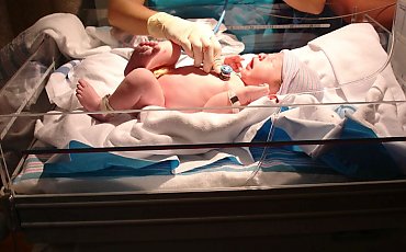 Neonatologia 2026 w Bydgoszczy. Dwa dni wykładów i warsztatów... na wagę życia