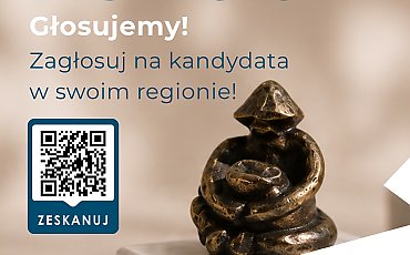 Kujawsko-Pomorskie wybiera swoich IDOLI. Trwa głosowanie w konkursie dostępności
