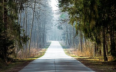 Wiatr i chmury, ale deszcze tylko przelotne  [POGODA]