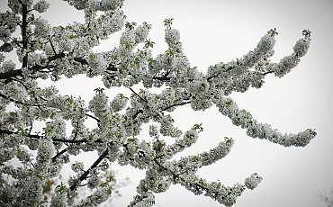 Pochmurno z przelotnym deszczem w nocy i rano [POGODA]