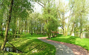 Park Centralny: nowe dokumenty pokazują przyrodniczą cenę inwestycji