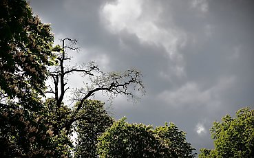 Przelotne opady i ochłodzenie w Bydgoszczy [POGODA]