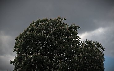 Wiatr i chmury nad Bydgoszczą [POGODA]