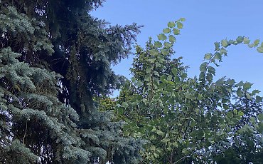 Pochmurno, z przelotnymi opadami [POGODA]